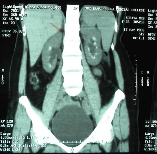 Screen%20Shot%202020 12-28%20at%2012.42.50%20AM