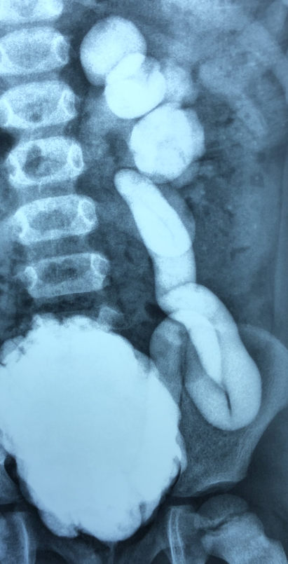 Screen%20Shot%202020 12-28%20at%2012.42.50%20AM