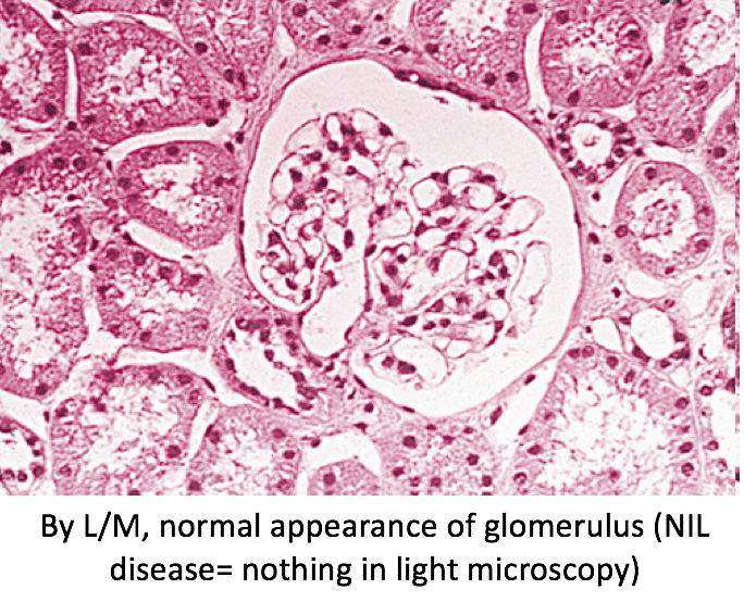 Screen Shot-2017-06-27-at-10.53.01-PM