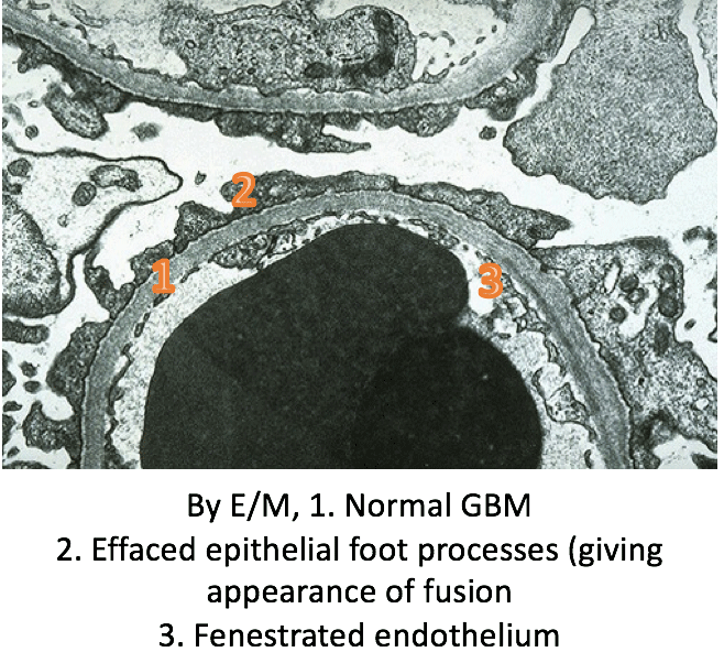 Screen Shot-2017-06-27-at-10.54.34-PM